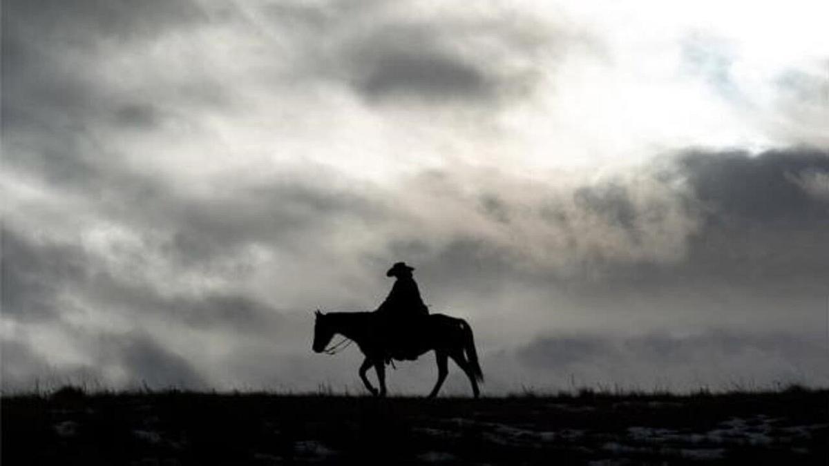 Bring on the Dancing Horses - Die Killerin vor der Tür Bring on the Dancing Horses - Die Killerin vor der Tür