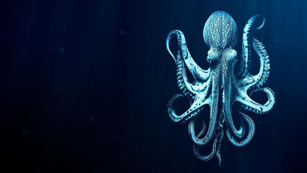 Monsters of the Deep: 20,000 Leagues Under the Sea Monsters of the Deep: 20,000 Leagues Under the Sea