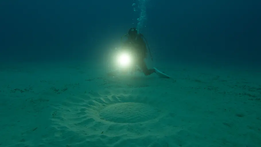 big pacific
