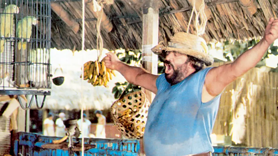 banana joe