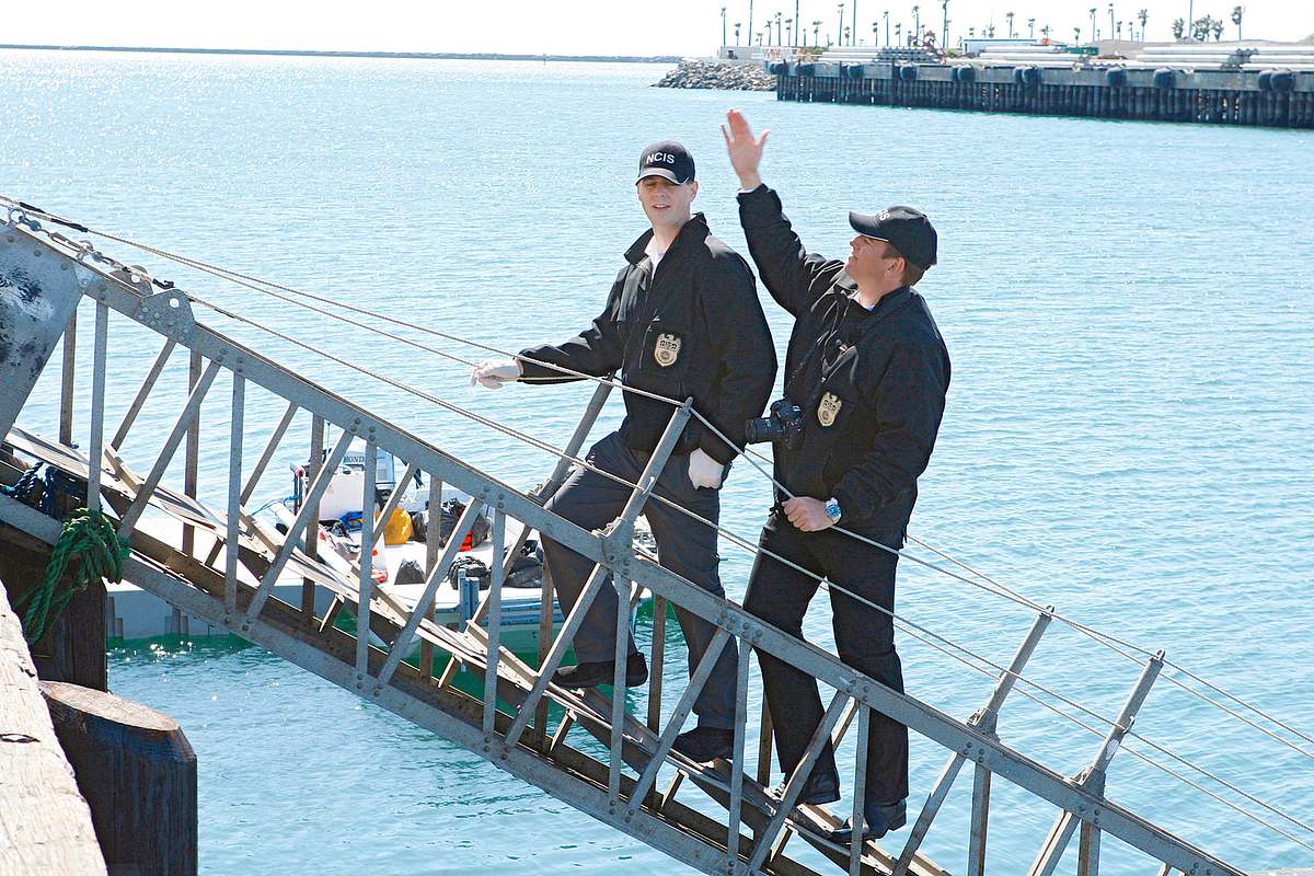 navy cis