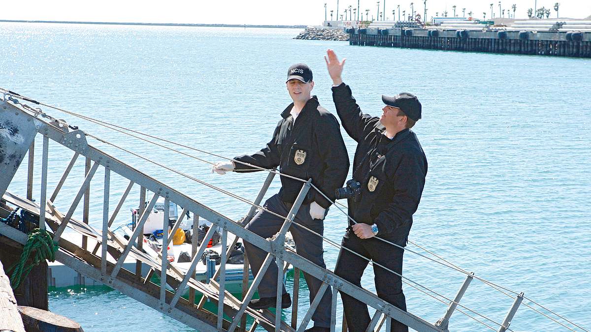 navy cis