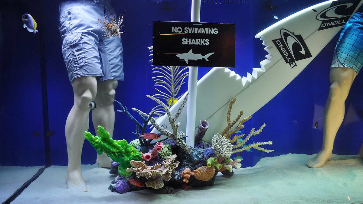 die aquarium-profis