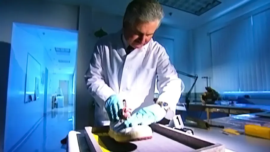 medical detectives - geheimnisse der gerichtsmedizin