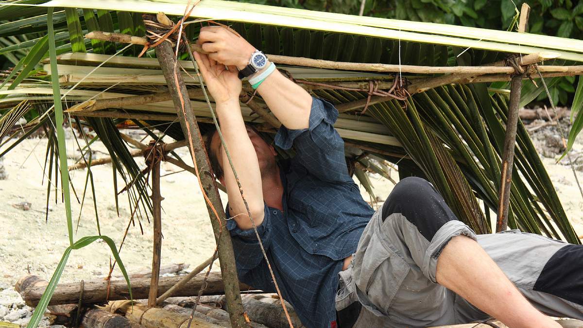 ausgesetzt in der wildnis