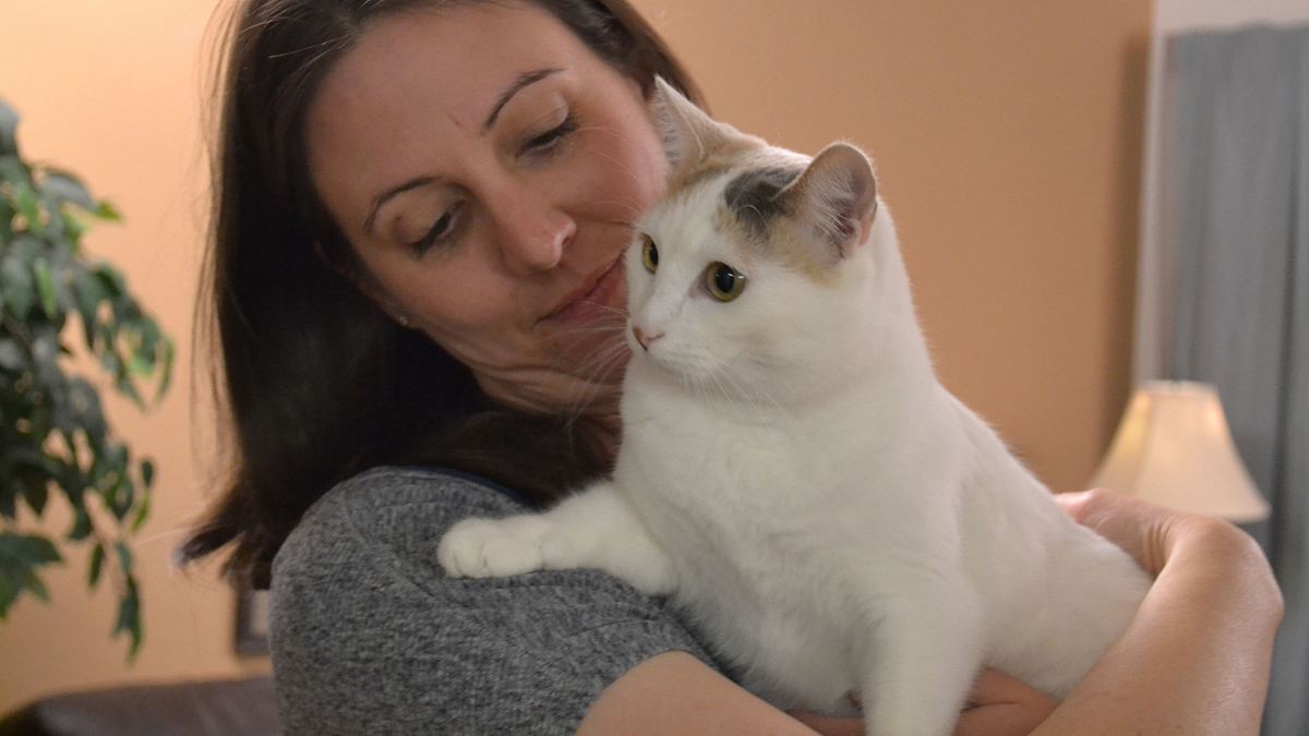 der katzenflüsterer