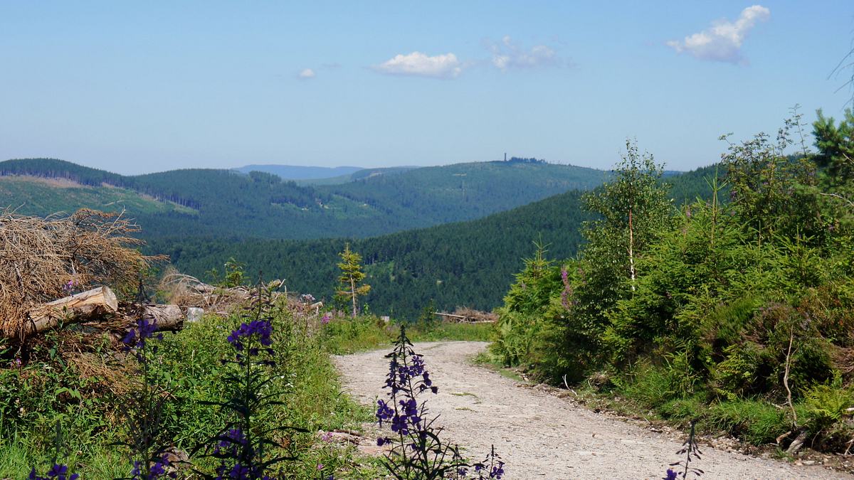 expedition in die heimat