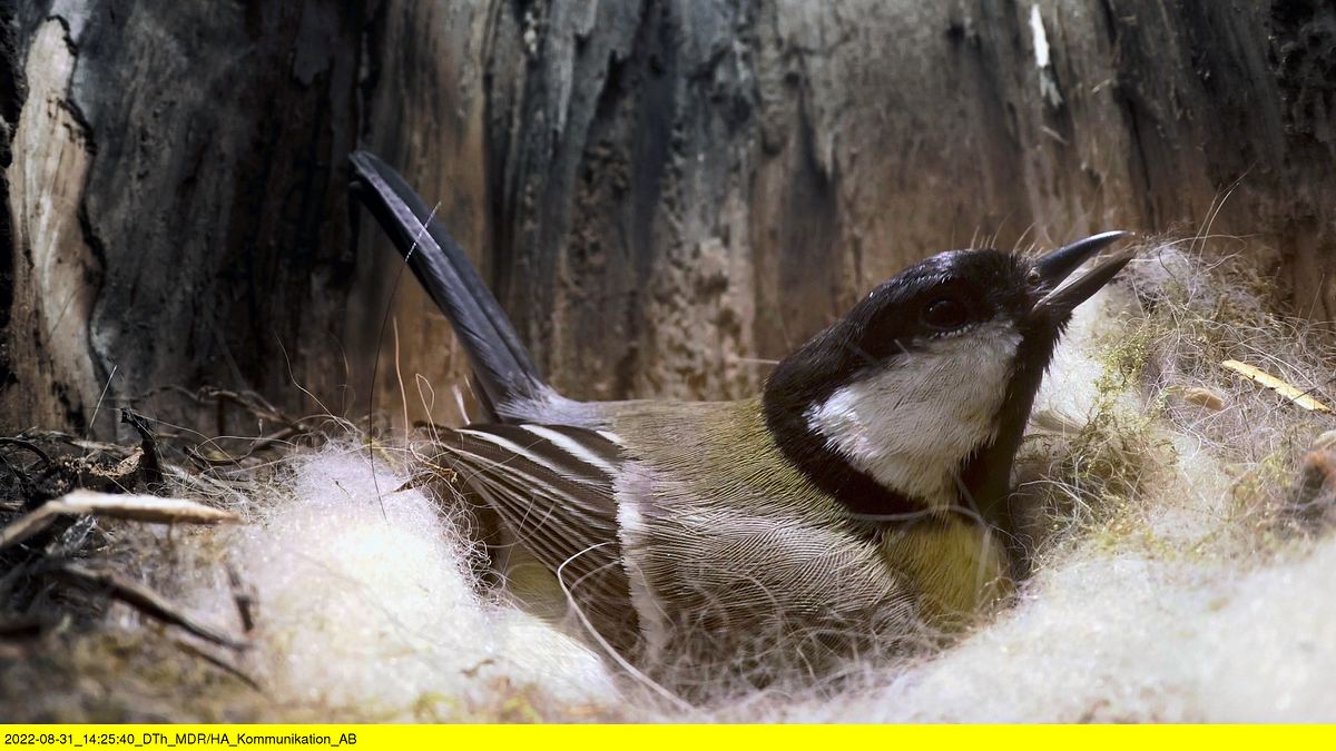 abenteuer wildnis