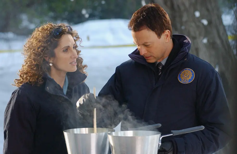 CSI: NY csi: ny