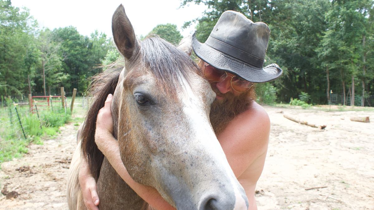 home rescue - wohnen in der wildnis