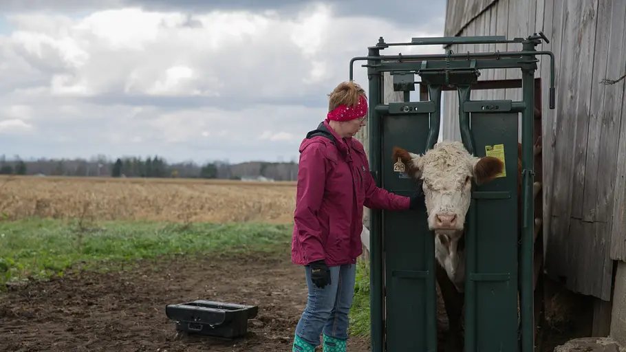 der unglaubliche dr. pol