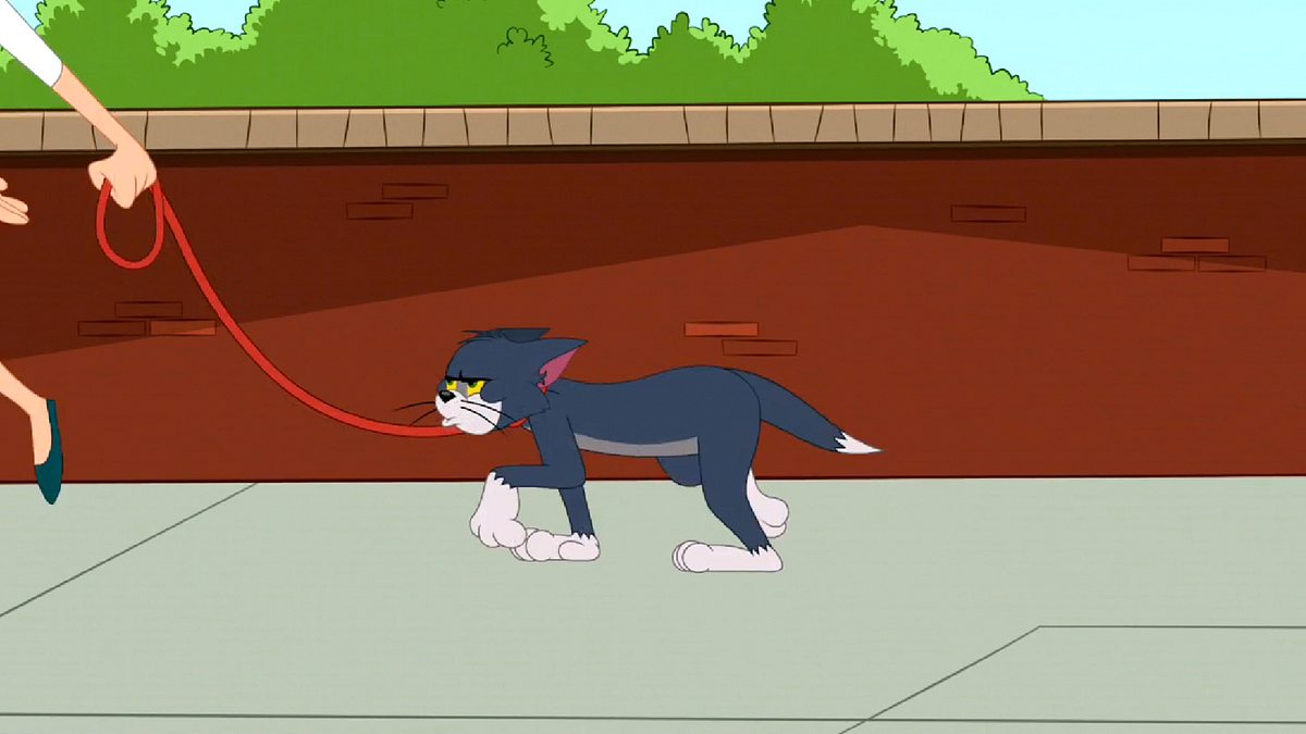 Die Tom und Jerry Show die tom und jerry show