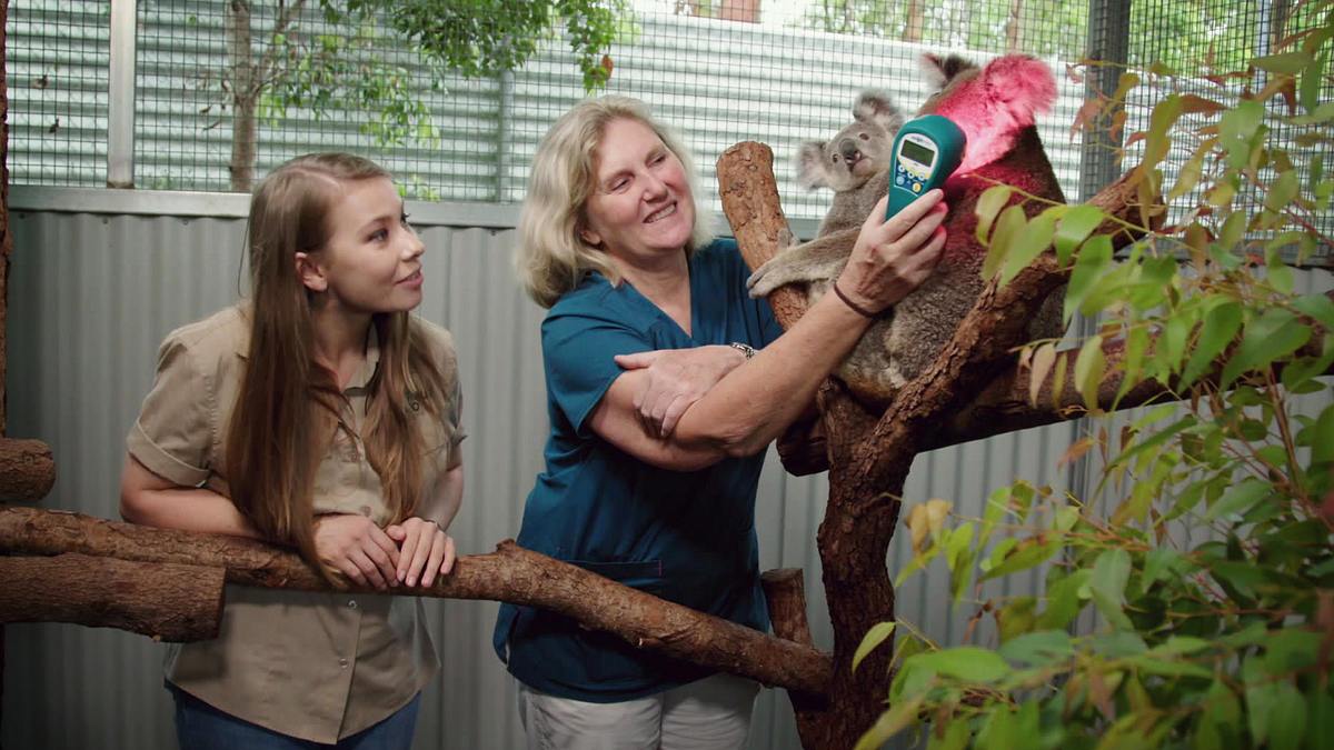 Die Irwins - Crocodile Hunter Family die irwins - crocodile hunter family