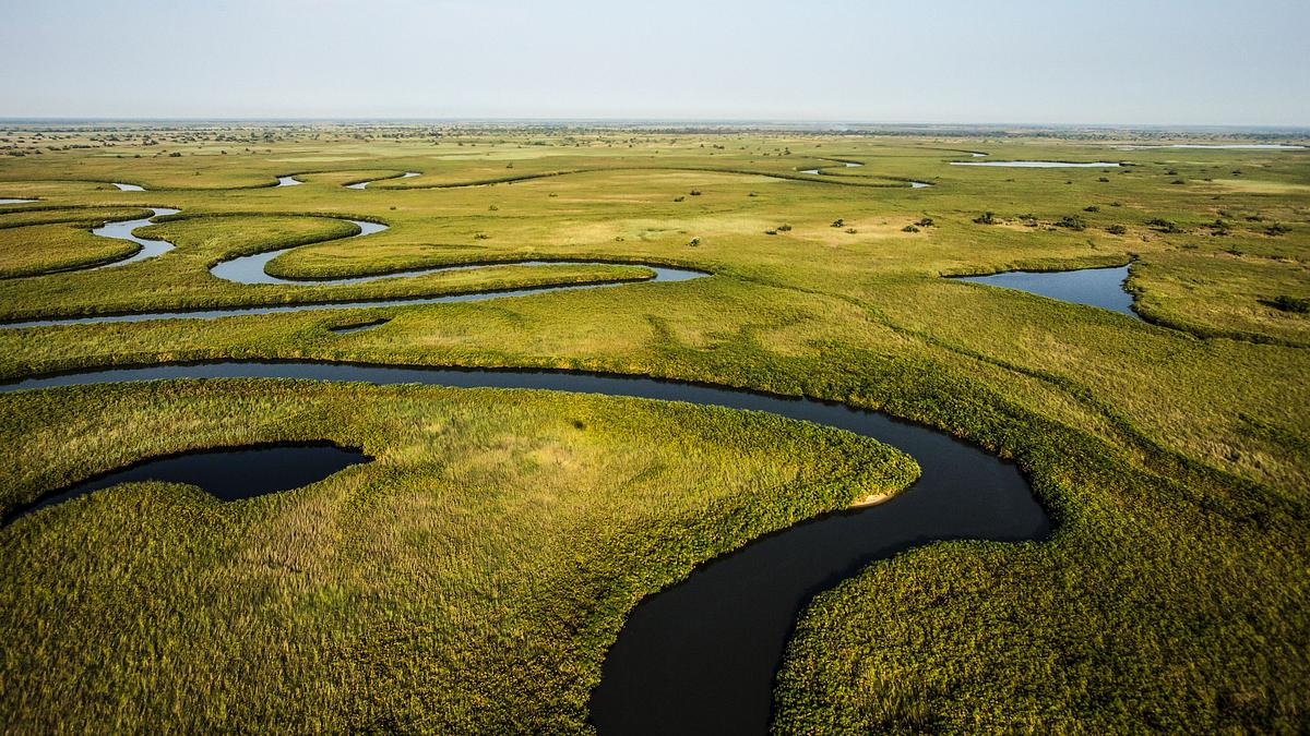 okawango - fluss der träume