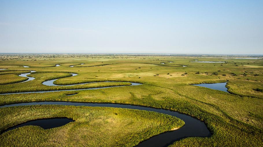 okawango - fluss der träume