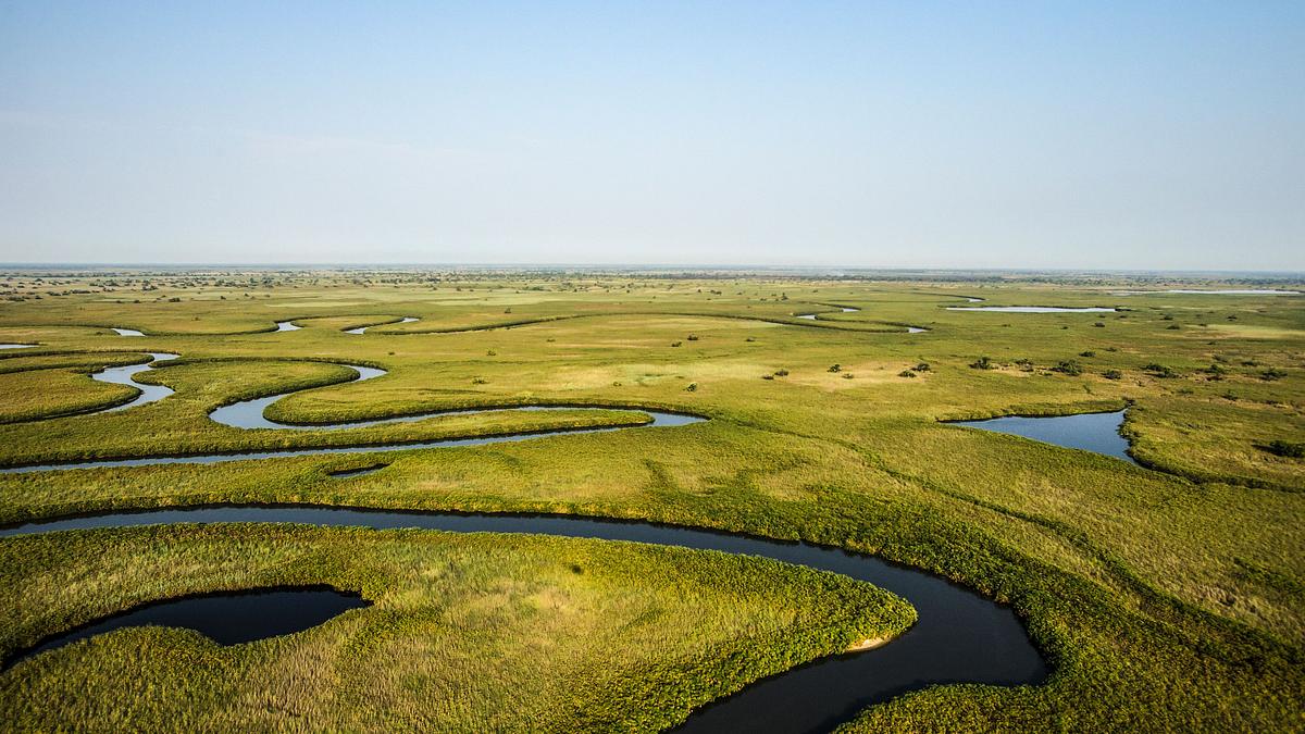 okawango - fluss der träume