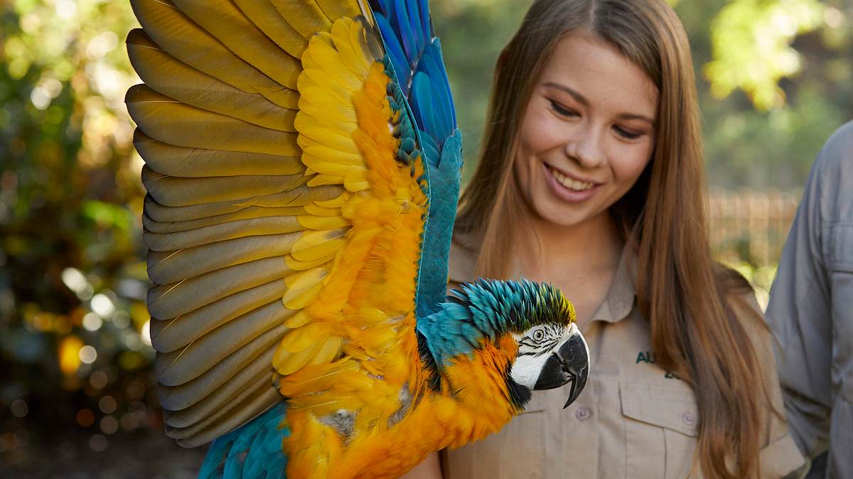 die irwins - crocodile hunter family