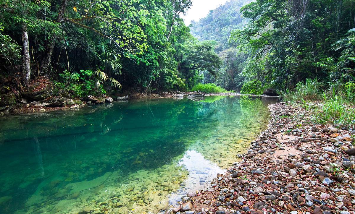 Ed Stafford: Into the Jungle ed stafford: into the jungle