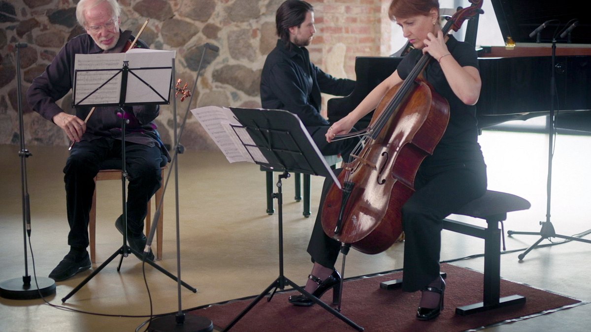 privatkonzert bei gidon kremer
