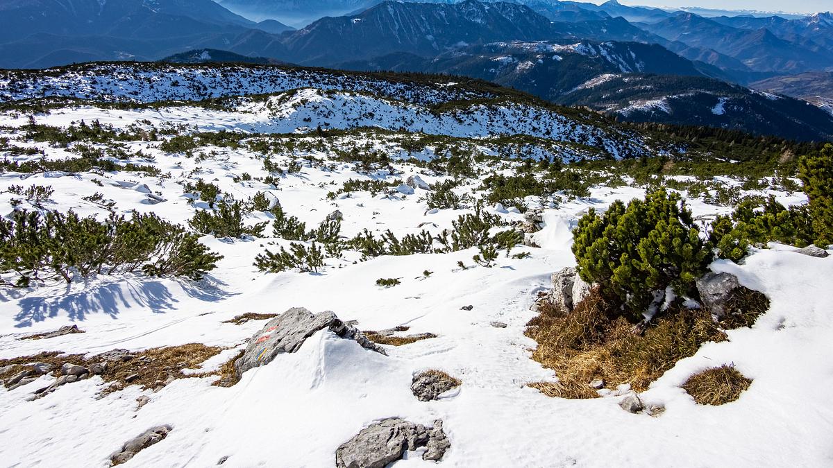 die wilden steiner alpen