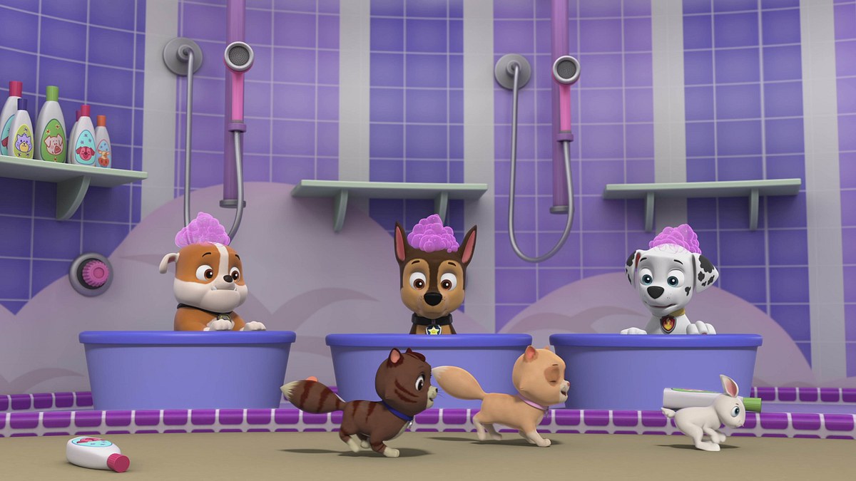 paw patrol - helfer auf vier pfoten