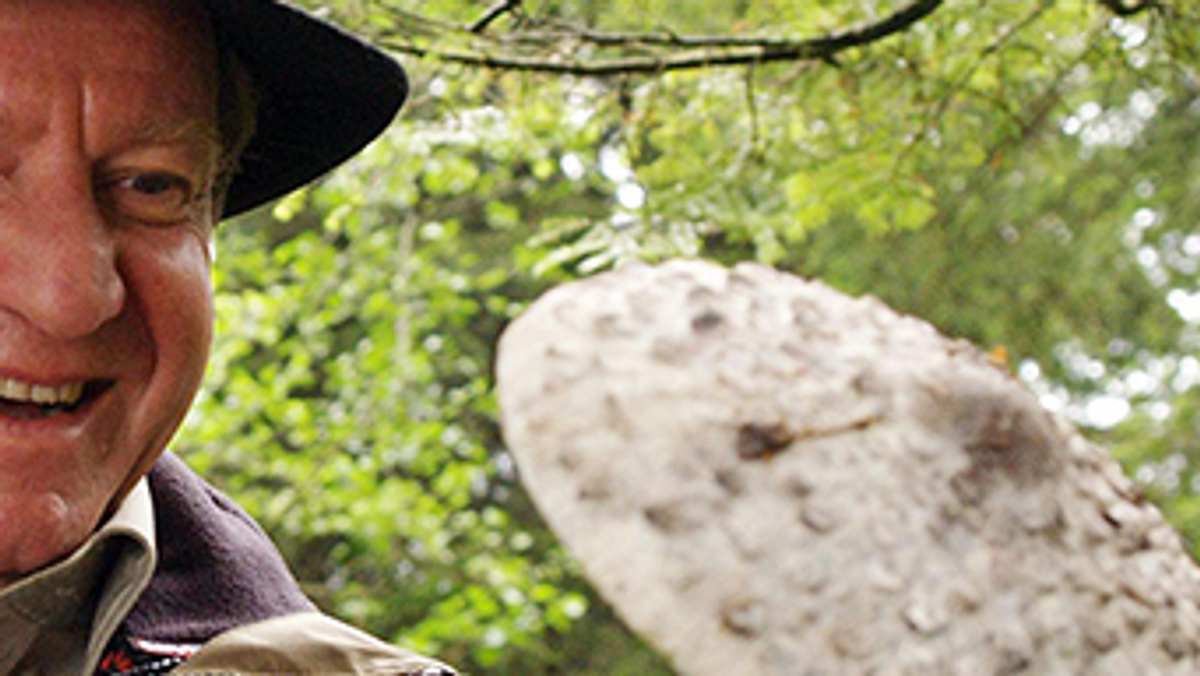 vier frauen und ein todesfall