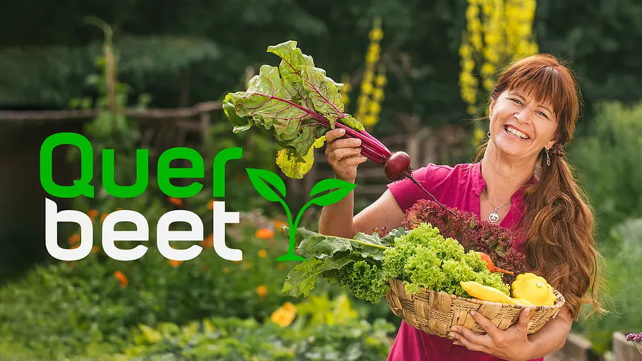 Querbeet querbeet