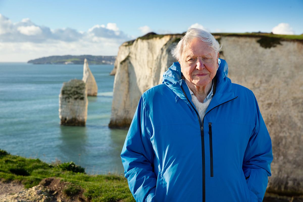 Ozean mit David Attenborough ozean mit david attenborough