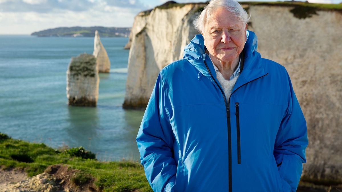 ozean mit david attenborough