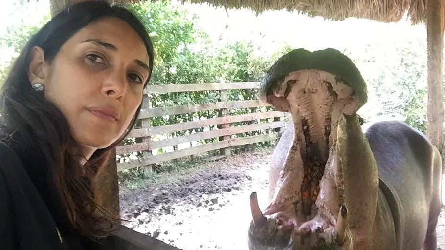 die hippos sind los - pablo escobars erbe
