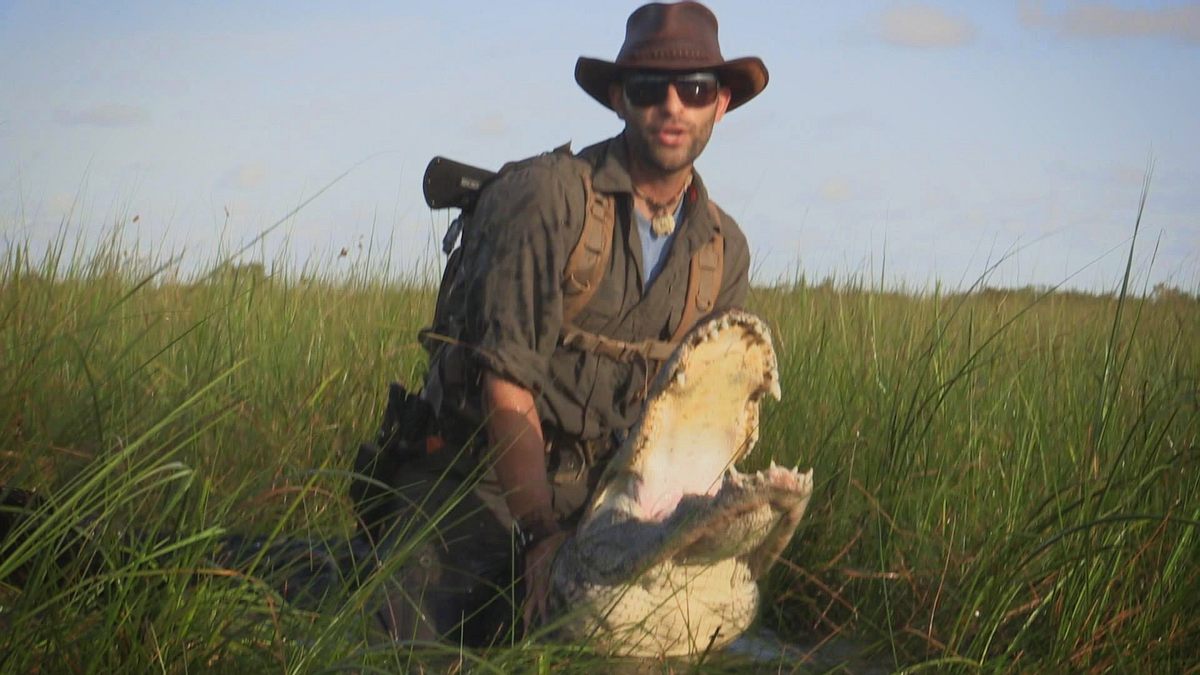 faszinierende tierwelt mit coyote peterson