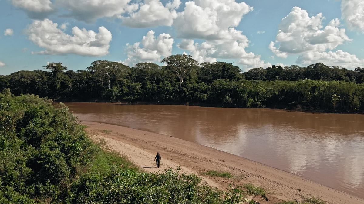 giganten unter wasser - riesenfischen auf der spur