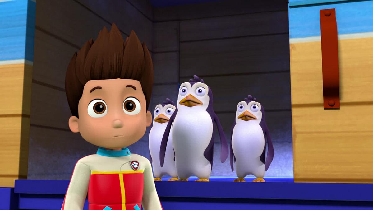 Paw Patrol - Helfer auf vier Pfoten paw patrol - helfer auf vier pfoten
