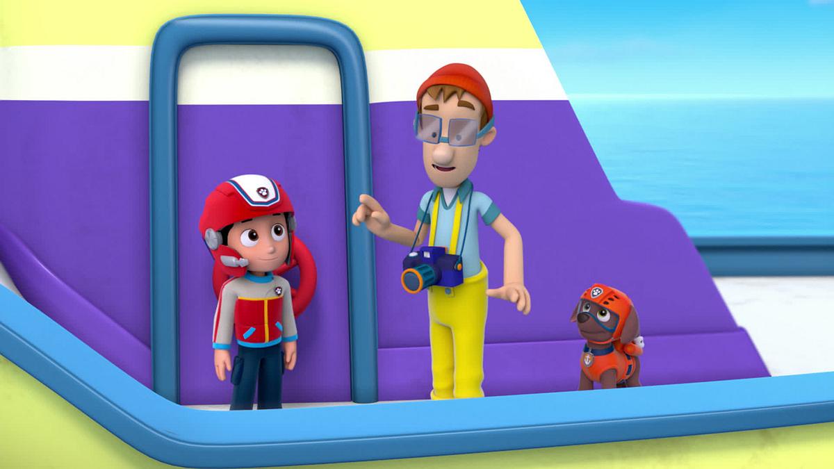 paw patrol - helfer auf vier pfoten