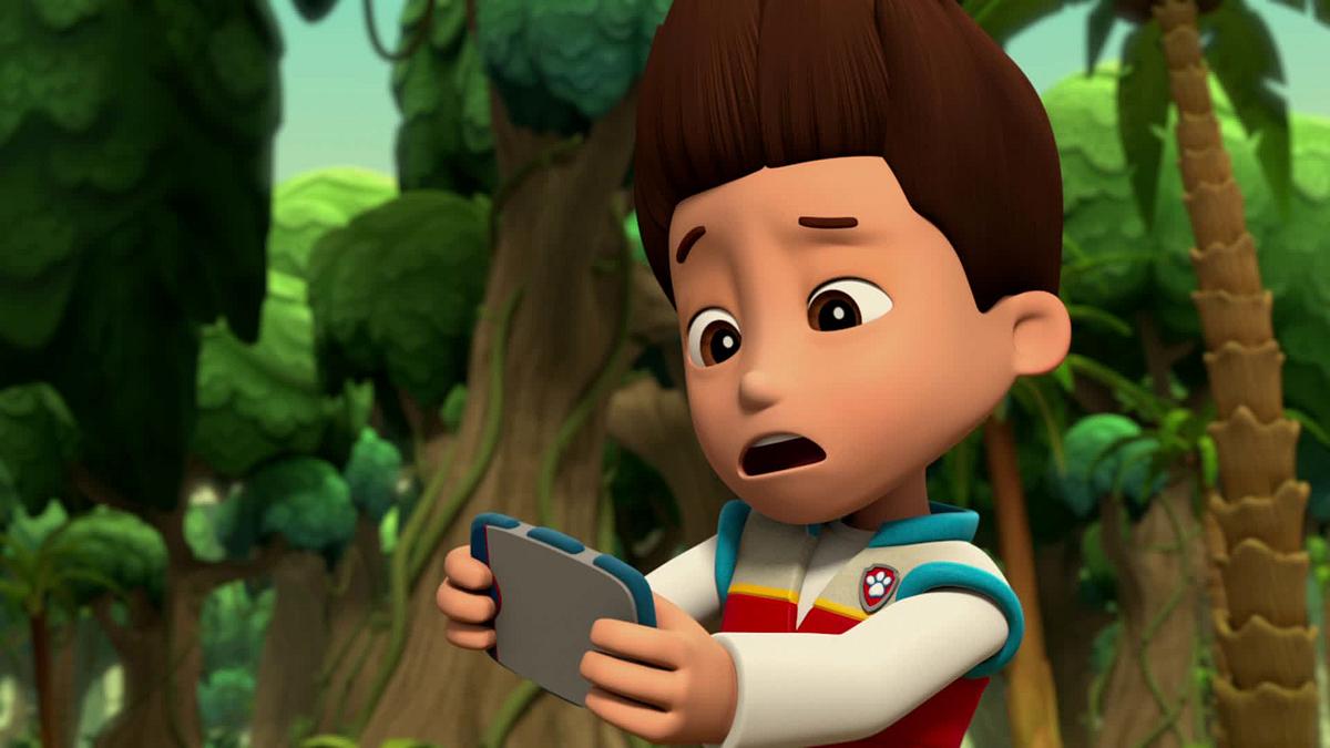Paw Patrol - Helfer auf vier Pfoten paw patrol - helfer auf vier pfoten