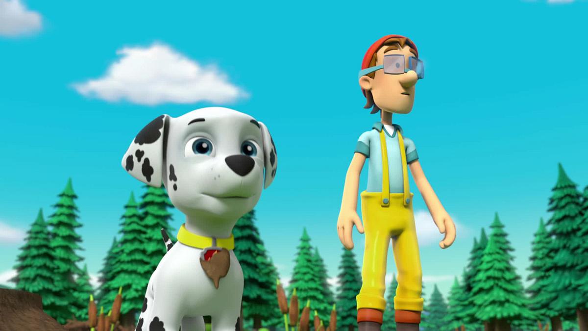 paw patrol - helfer auf vier pfoten
