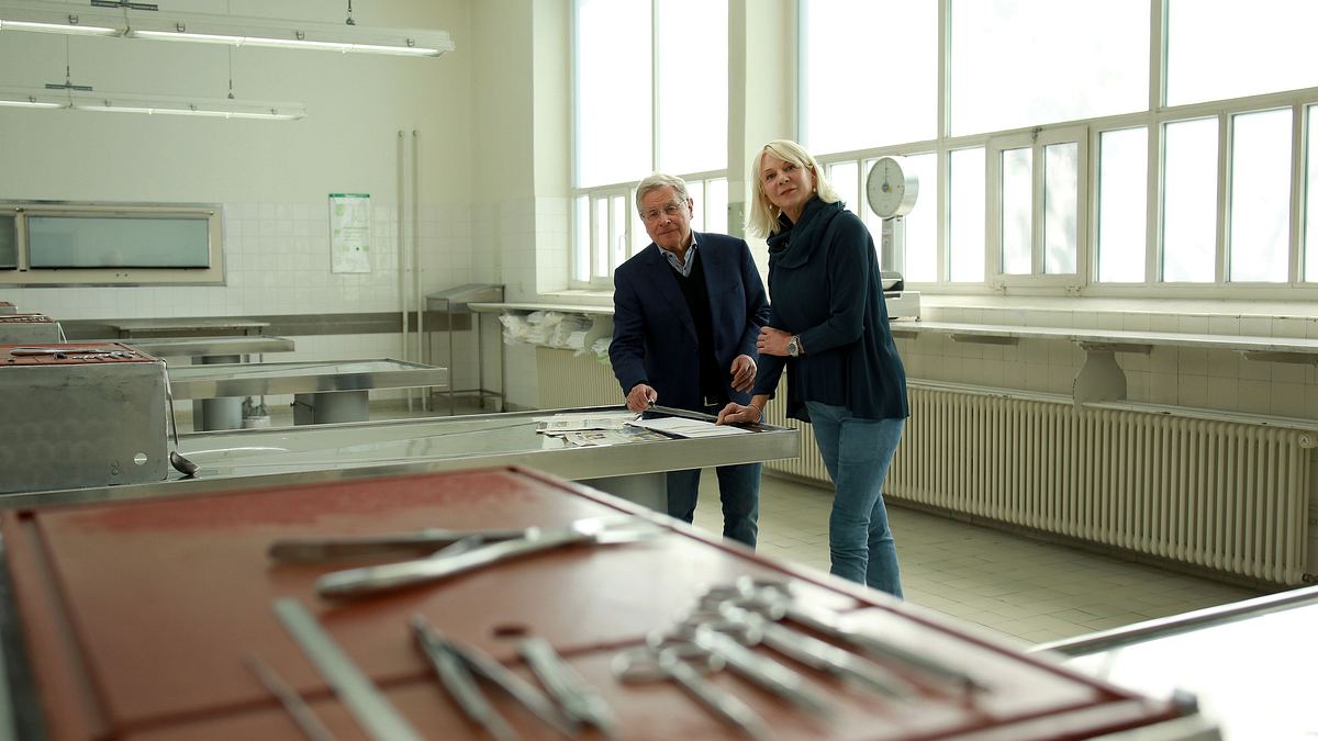 rita falks mordsgschichten - die akte dr. mord