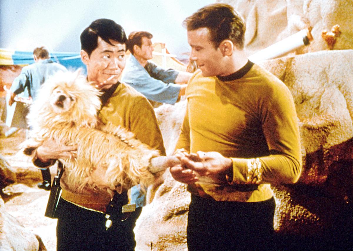 raumschiff enterprise