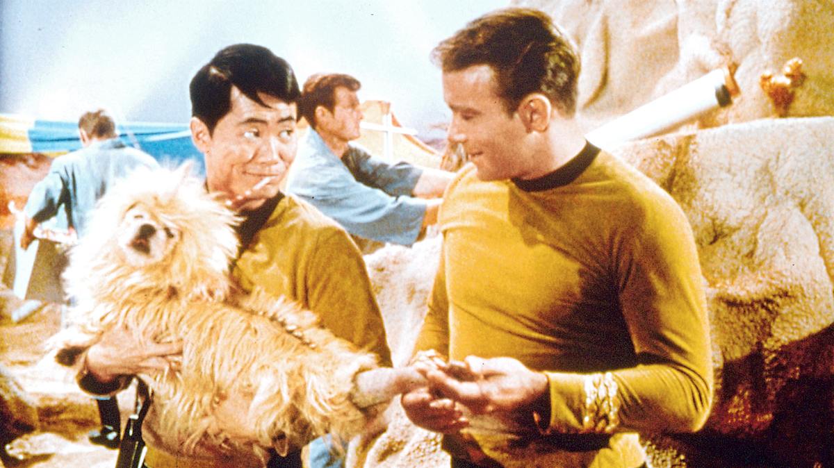 raumschiff enterprise