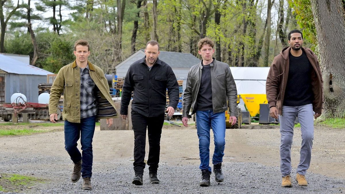 blue bloods - crime scene new york