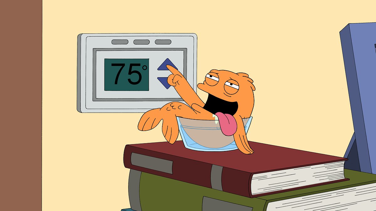 american dad!