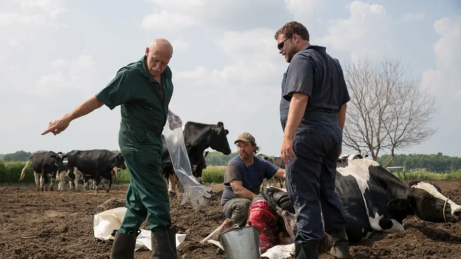 Der unglaubliche Dr. Pol der unglaubliche dr. pol