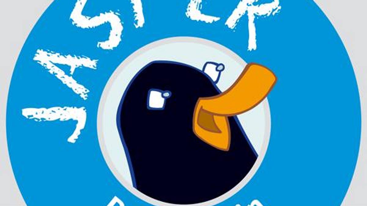 jasper, der pinguin