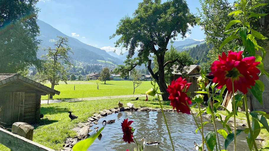 heimat österreich