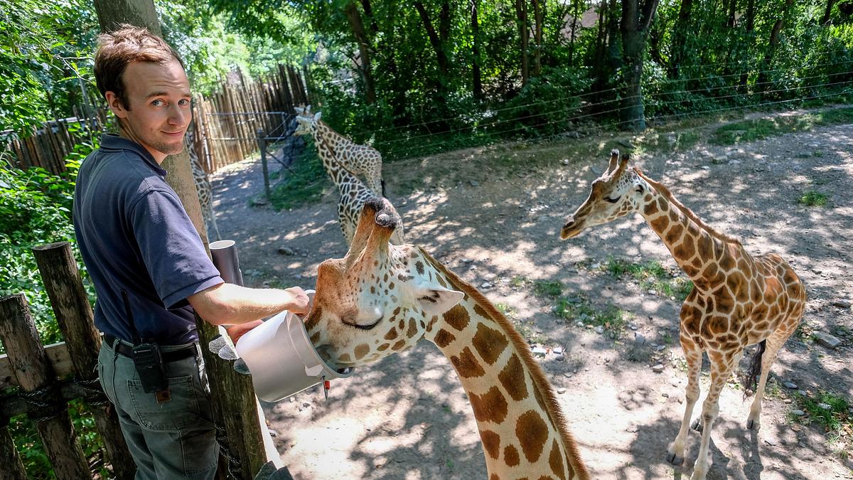 bronx zoo - tierpark der superlative