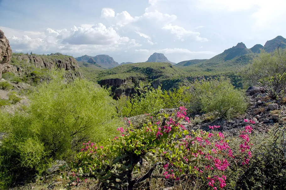 Baja California - Das andere Kalifornien baja california - das andere kalifornien