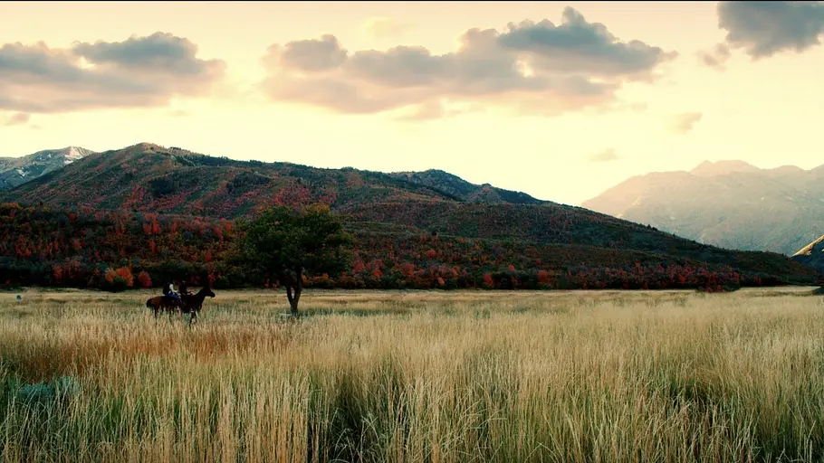 Liebe am Horizont - Romance on the Ranch liebe am horizont - romance on the ranch