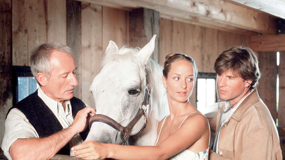 utta danella: die hochzeit auf dem lande