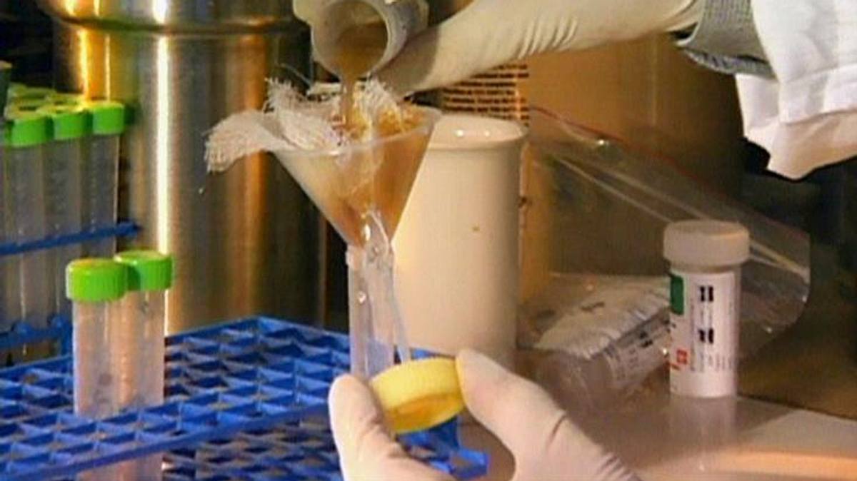 medical detectives - geheimnisse der gerichtsmedizin