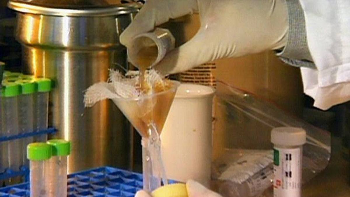 medical detectives - geheimnisse der gerichtsmedizin